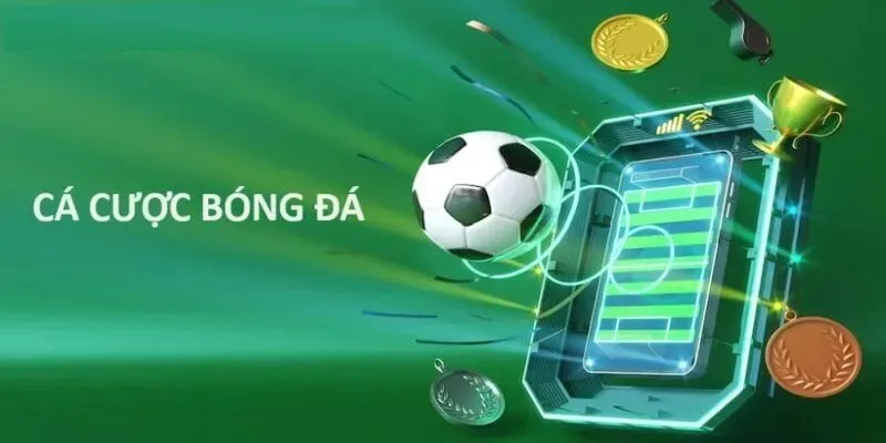 Chiến lược tiếp cận dựa trên quan sát thực tế